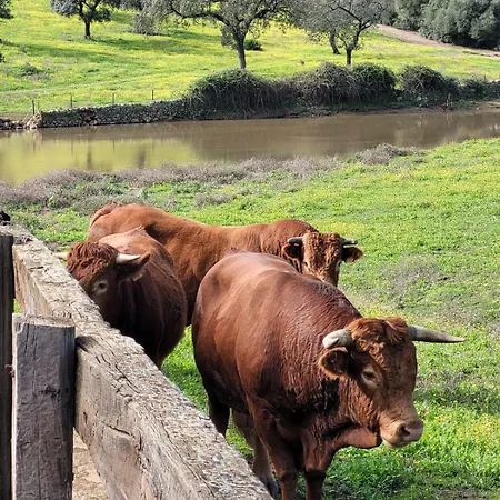 Resort Rural Barral