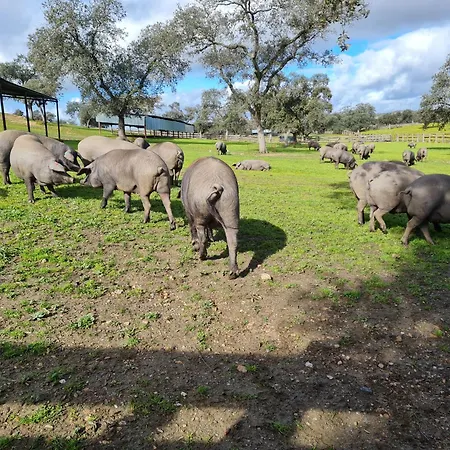 Rural Barral El Garrobo